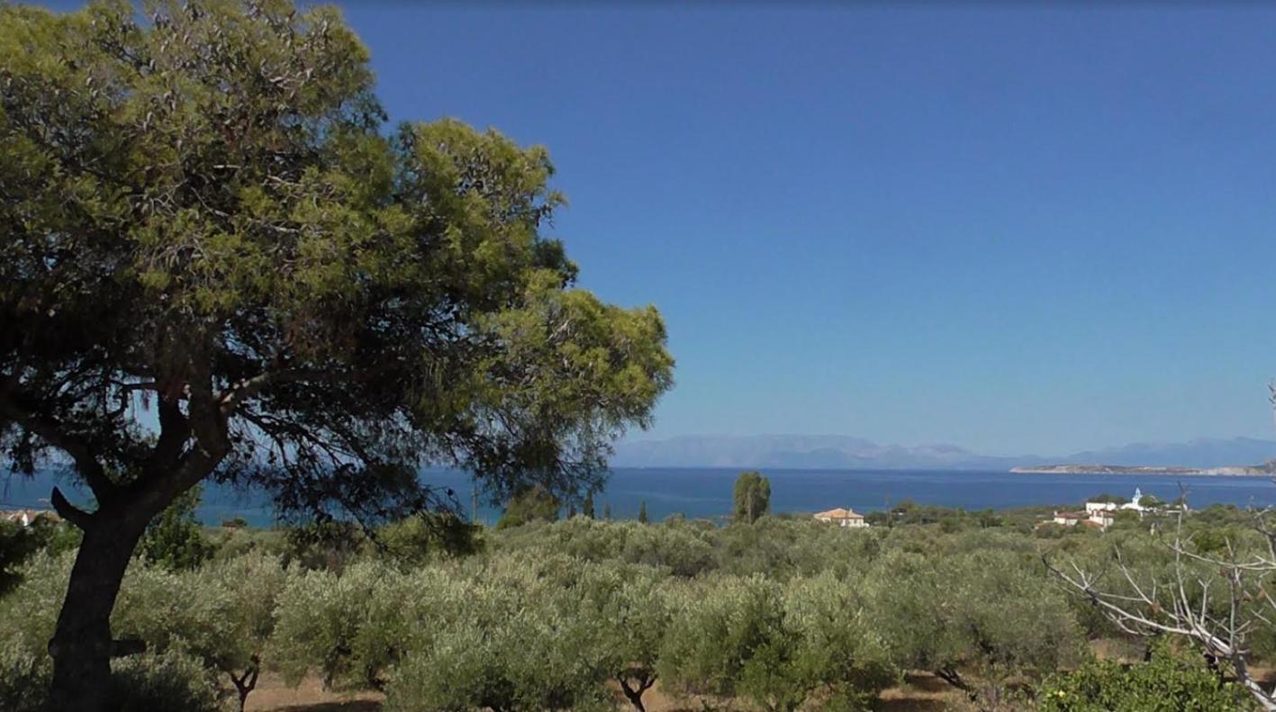 Το Κτήμα Της Ελιάς Του Τάκη ξενώνας Παραλία Δαιμονιάς Εξωτερικό φωτογραφία
